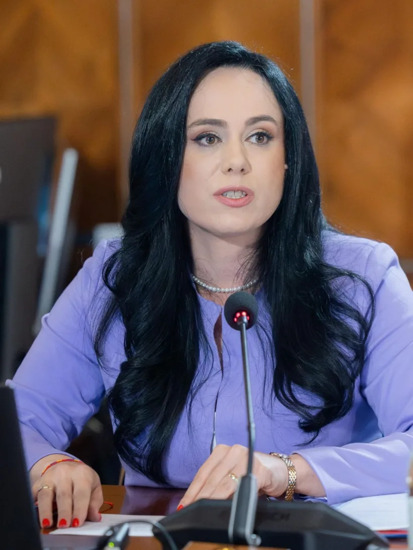 Reprezentanții Camerei de Comerț Americane în România au purtat discuții cu ministrul român al Muncii