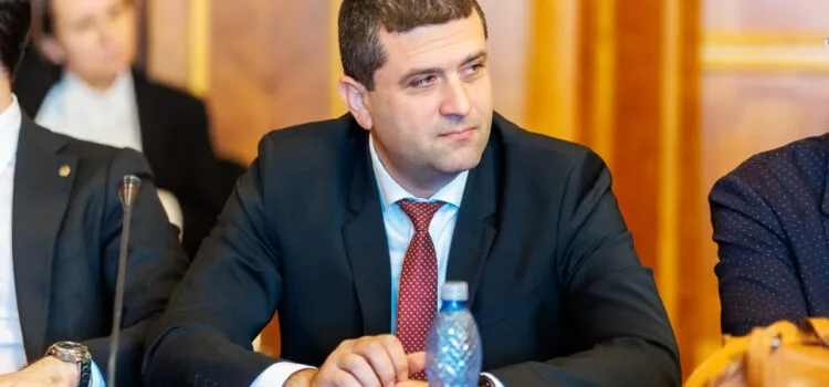 Miruță: Problemele României nu sunt vina victimelor unui război