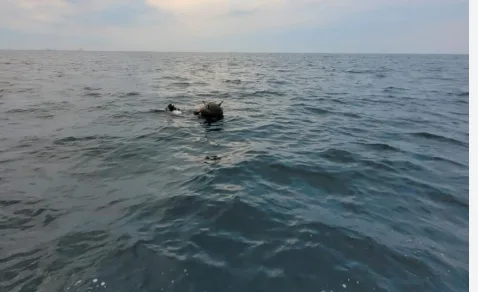 Pericol pe litoralul Mării Negre. O mină marină a fost găsită de turiști și distrusă de militari