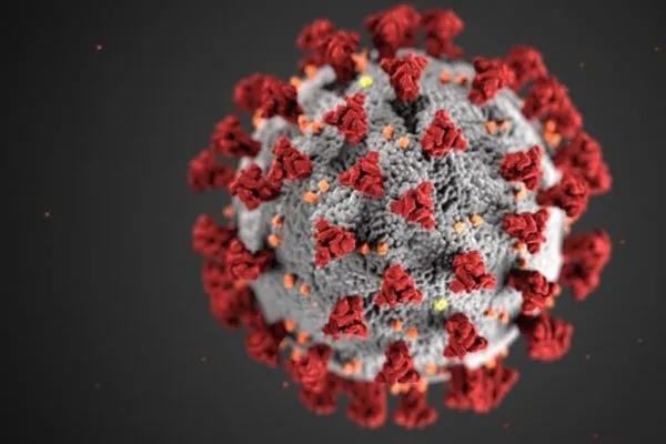 Tulpina ”japoneză” a noului coronavirus, rezistentă la vaccinuri