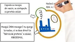 Ghid de comunicare medicală pe tema vaccinurilor antiCovid