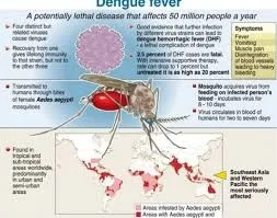 După pandemia de Covid, alte două boli transmise de țânțari amenință omenirea