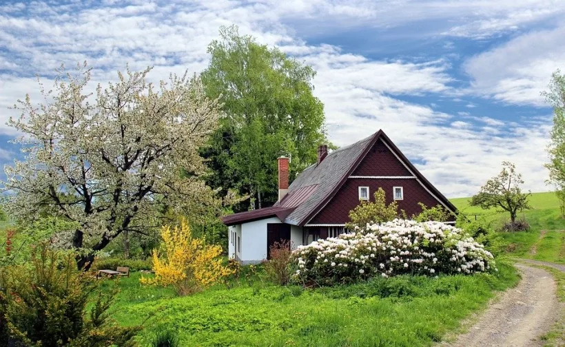 Iarba verde de la țară