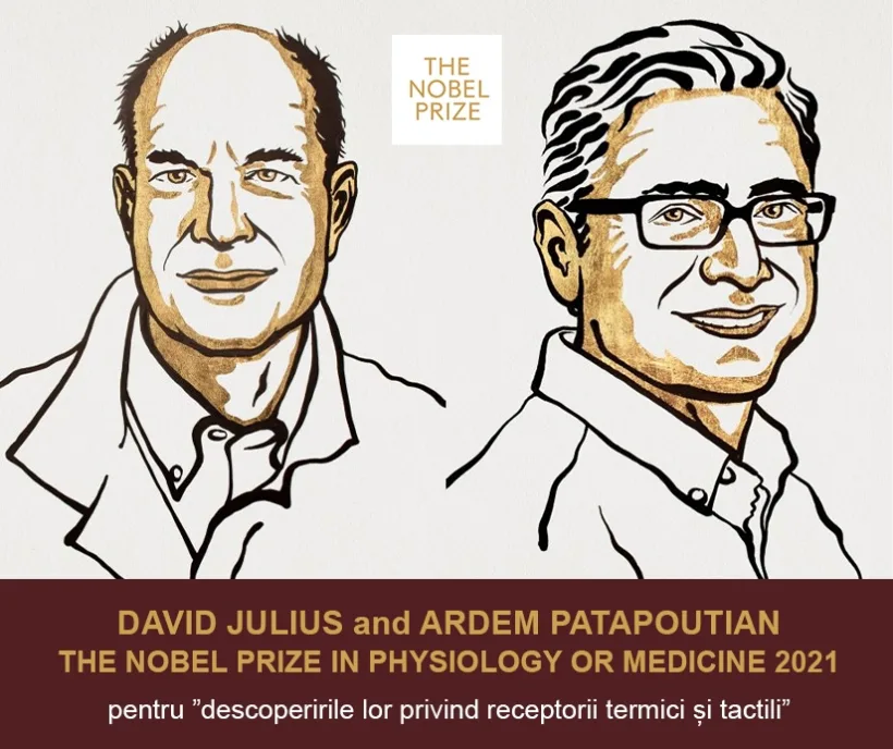 Premiul Nobel pentru Fiziologie și Medicină în 2021, plecând (și) de la studii științifice realizate la Universitatea București