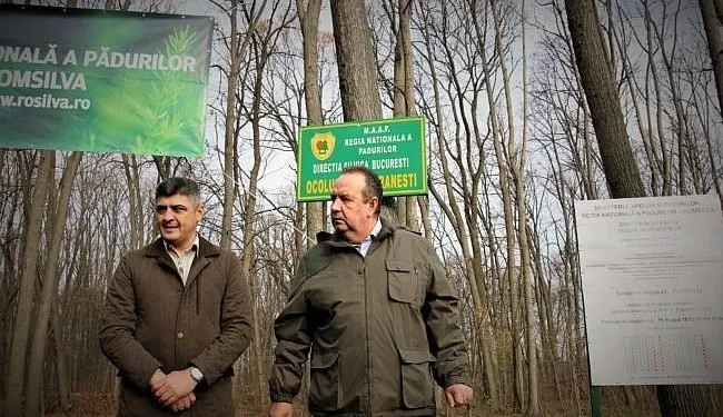 Poate nu mai avea unde să planteze păduri...