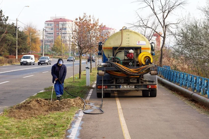 Peste 1.800 de copaci vor fi plantați în Galați în acest sezon