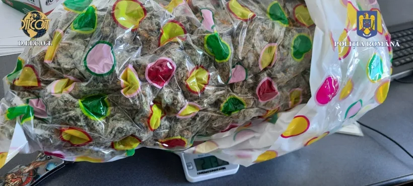 Un colet cu două kilograme de cannabis, trimis din Spania, a fost interceptat de DIICOT