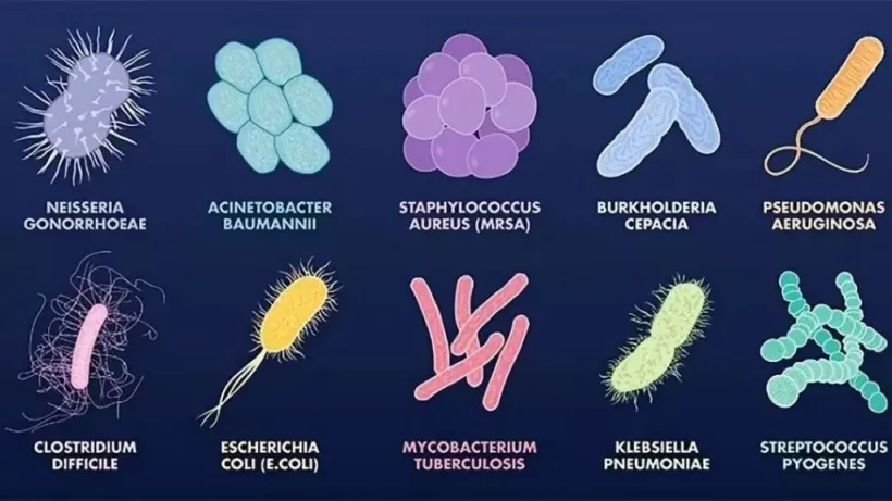 OMS trage un semnal de alarmă: ”Superbacteriile” şi-au crescut nivelul de rezistenţă la medicamente