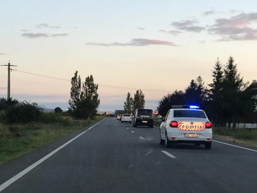 Percheziții la tăietorii de lemne în București și alte trei județe