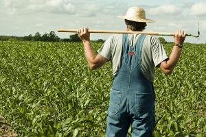 Fermierii, apel către președinte: Retrimiteți Legea impozitelor în Parlament, nu mai putem suporta noi scumpiri și creșteri de impozite