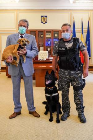 Se înființează Poliția Animalelor în România. Ce atribuții vor avea polițiștii