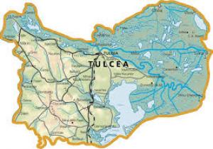 Evoluția numărului funcționarilor în administrația tulceană