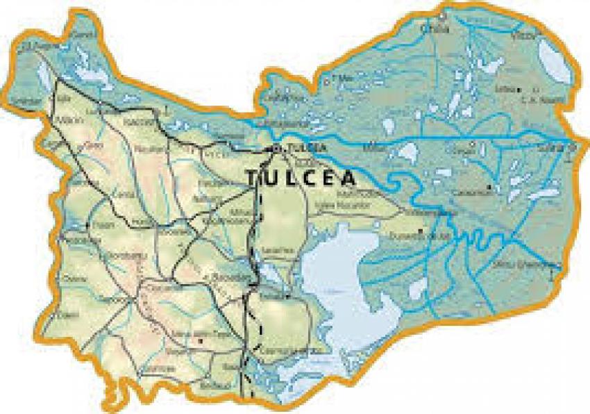 Evoluția numărului funcționarilor în administrația tulceană