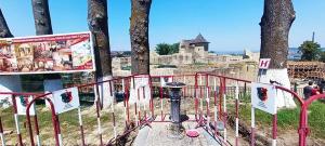 Administrația din Suceava face recomandări pentru turiști în perioada de caniculă