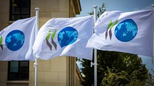 România a obținut avizul privind guvernanța corporativă necesar pentru aderarea la OCDE