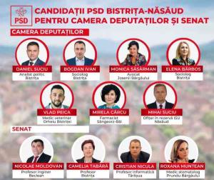 Candidații  bistrițeni propuși la parlamentare, specialiști în diverse domenii