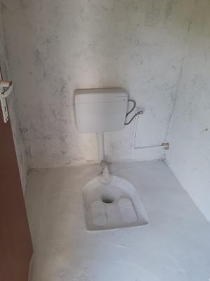 Ligia Deca: 70 de unități de învățământ nu au grup sanitar conform