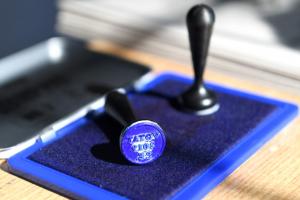 Autoritatea Electorală Permanentă: Află secția de vot la care ești arondat și adresa acesteia