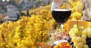 Ajutoare de stat: Comisia aprobă o schemă românească în valoare de 12,4 milioane EUR pentru sprijinirea producătorilor de vin afectați de pandemia de coronavirus