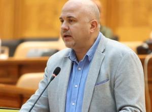 Se înmulțesc cererile adresate Elenei Lasconi privind retragerea din cursa electorală: Dragă Elena, e timpul să fii om de stat, să te retragi