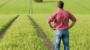 Peste 10 milioane de euro solicitate de tinerii din diaspora pentru a-și deschide ferme în România