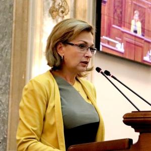 Laura Georgescu: Problemele majore cu care se confruntă românii nu se reflectă nicicum în Programul de Guvernare al PNL!