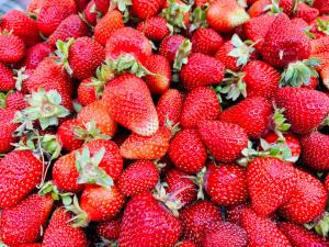 Guvernul intervine cu măsuri dure în scandalul legumelor cu pesticide