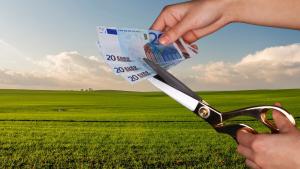 Peste 8.300 de cereri pentru sprijinul de urgență în sectorul ovin-caprin au fost depuse la APIA