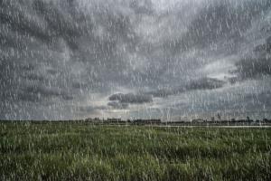 Circa 3.000 de hectare de terenuri agricole din județul Galați, afectate de ploile torențiale din primul semestru