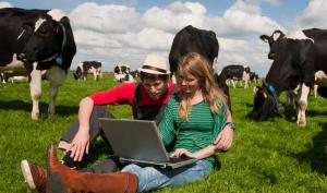 APIA: Cererile unice de plată aferente Campaniei 2020 pot fi depuse online