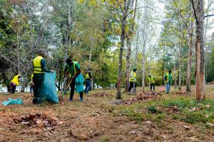 A început curățenia de toamnă în parcurile administrate de Primăria Capitalei