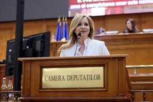 Legea „femicidului”, inițiată de un  deputat de Caraș - Severin