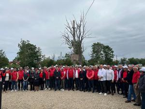 Mobilizare PSD pentru schimbarea a doi primari dâmbovițeni, pe 9 iunie