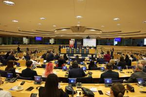 Județul Călărași, reprezentat la Bruxelles în dezbaterile privind viitorul finanțărilor europene
