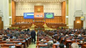 Șefa ANAF, chemată în Parlament la cererea USR