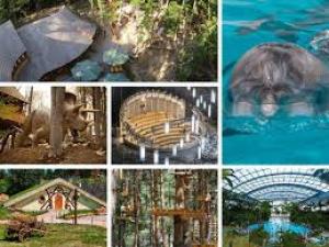 „ACCES – Joaca de-a Vacanța”, programul pentru tineri