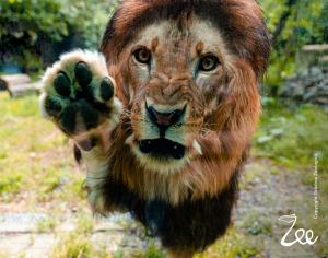 Copiii, părinții și bunicii, invitați la o aventură colorată la Grădina Zoologică din București