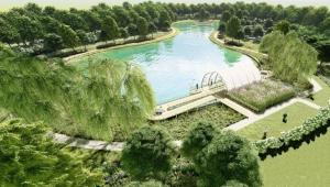 Primaria Municipiului: Craiova Verde!