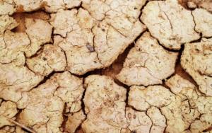 Fonduri europene de solidaritate în valoare de 34 de milioane de euro pentru România