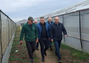 Președintele CJ Teleorman: Vești excelente pentru legumicultori!