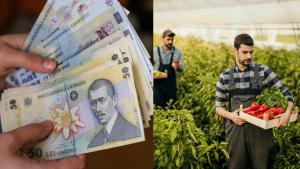 Legumicultorii români vor primi un nou ajutor de la stat