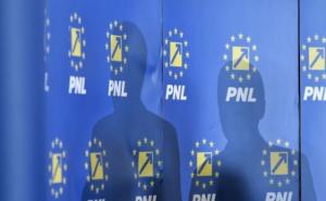 Stroe, PNL: Cum ar arăta Apărarea condusă de Șoșoacă sau Finanțele țării sub Simion? Nici nu știi dacă să râzi sau să te sperii