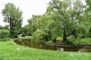 Runda a cincea a Platformei de mediu pentru București. Cinci proiecte de mediu sunt propuse