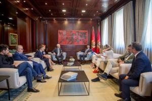 Cooperare economică între Dolj și Muntenegru