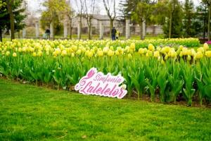 Piteștiul trăiește din nou magia primăverii la Simfonia Lalelelor 2025!