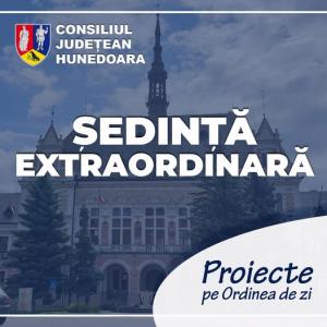 CJ Hunedoara, proiecte pentru dezvoltarea județului