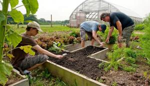 Tinerii fermieri finanțați prin PNDR trebuie să să îndeplinească trei obiective operaționale