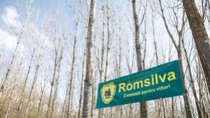 Șefii Romsilva care ies la pensie nu vor mai primi bonusuri uriașe