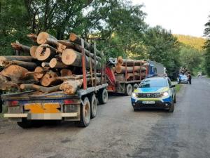 Inteligența artificială va fi folosită în cadrul programului SUMAL 2.0