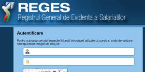 Accesul online al salariaților la Revisal, posibil din 2025